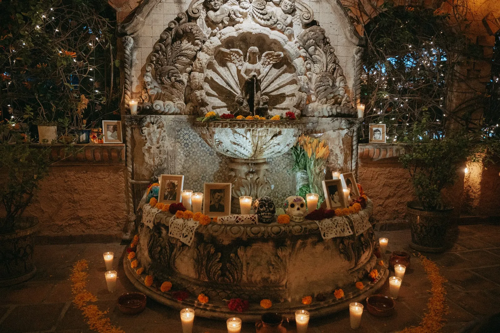 Instalación botánica de gran formato por Áurea 1618